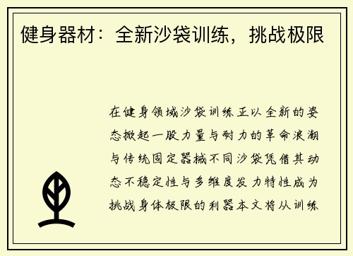 健身器材：全新沙袋训练，挑战极限