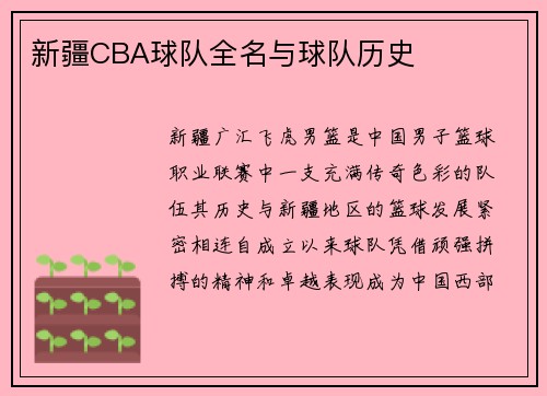 新疆CBA球队全名与球队历史